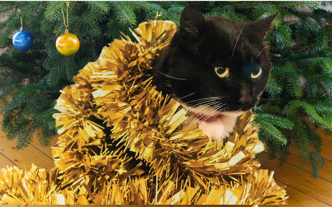 Don’t Get Your Tinsel in a Tangle